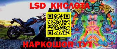 ГАЛЛЮЦИНОГЕННЫЕ ГРИБЫ Боровичи
